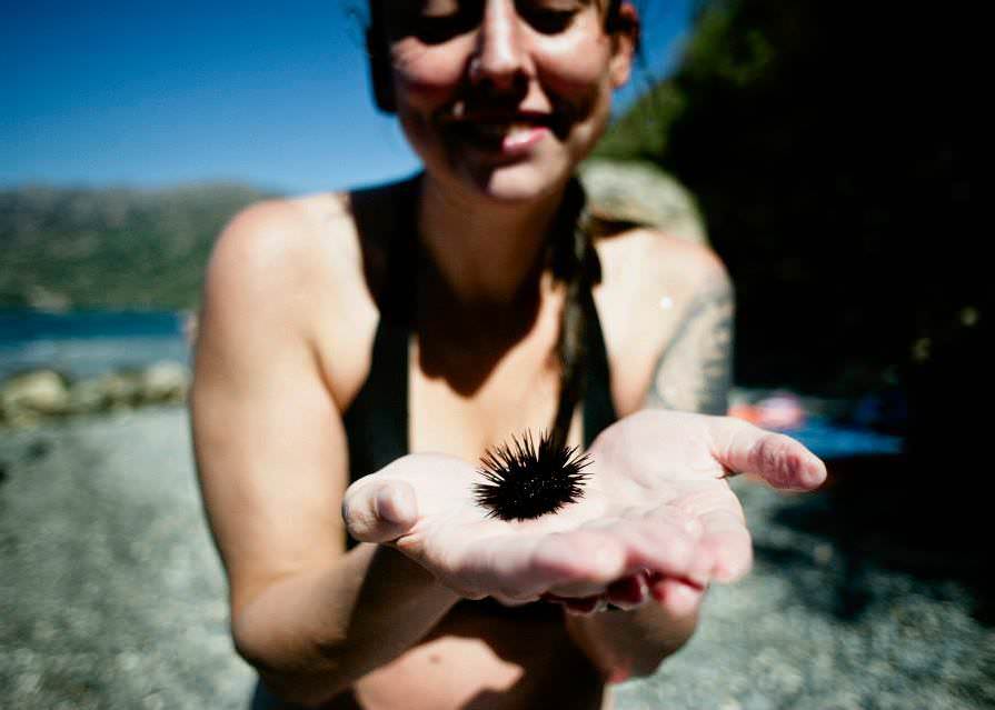 This image was taken by Molly Marie of Molly Marie Photography on our trip to Greece. I found the cutest little sea urchin! He’s just a little guy!